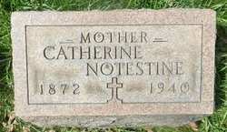 Catherine <I>Snyder</I> Notestine 