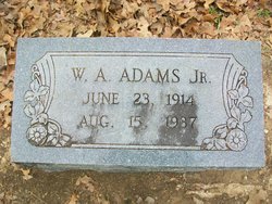 William Arthur Adams Jr.