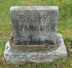 Baby Starbuck 