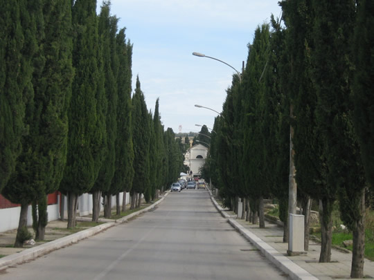 Canosa di Puglia Cemetery