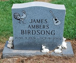 James Ambers Birdsong 