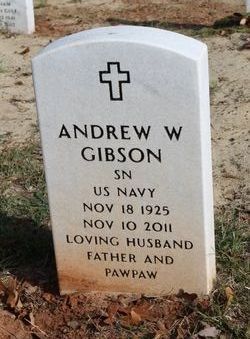 Andrew W Gibson 