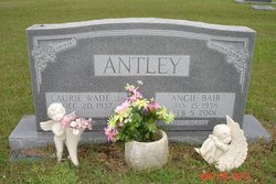 Angie <I>Bair</I> Antley 