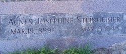 Agnes Josephine <I>Ketcham</I> Steinheimer 