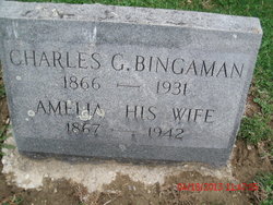Charles G Bingaman 