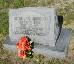 Nettie Jane Johnson 