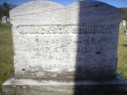Andrew Jackson Scribner 
