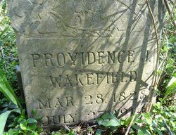 Providence <I>James</I> Wakefield 