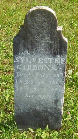 Sylvester Gibbons 