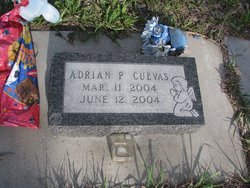 Adrian Pablo Cuevas 