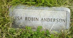 Lisa Robin Anderson 