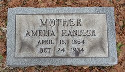 Amelia Handler 