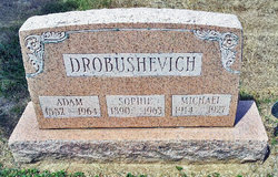 Michael Drobushevich 
