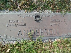 David A. Anderson 