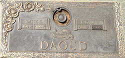 David S Daoud 