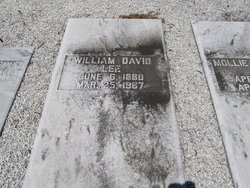 William David Lee 