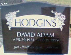 David Adam Hodgins 