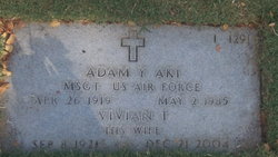 Adam Young Aki 