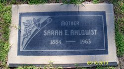 Sarah E Ahlquist 