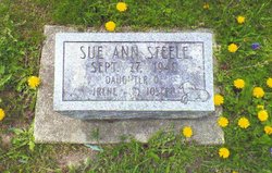 Sue Ann Steele 