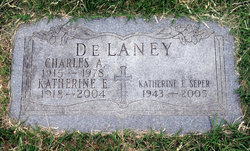 Charles A. Delaney Jr.