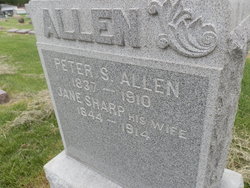 Peter S Allen 