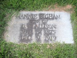 Nannie <I>Bigham</I> Allison 