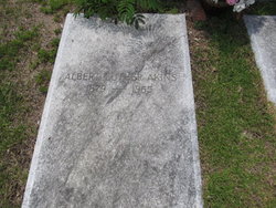 Albert Luther Akins 