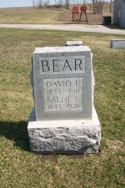 David Bear 