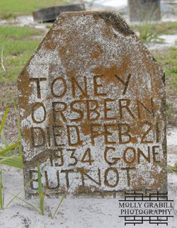Toney Orsbern 