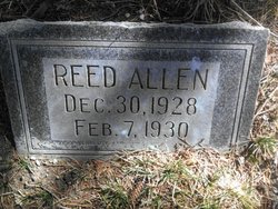 Reed Allen 