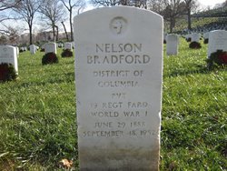 Nelson Bradford 