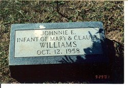 Johnnie E. Williams 