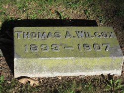Thomas Aulls Wilcox 