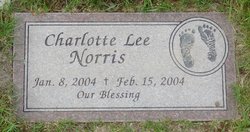 Charlotte Lee Norris 