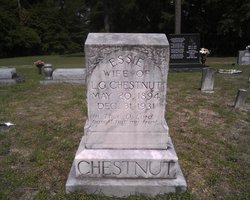 Essie <I>Chestnut</I> Chestnut 