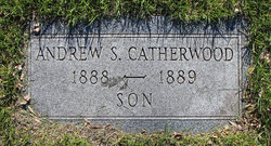 Andrew S. Catherwood 