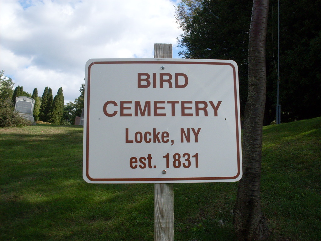 Bird Cemetery