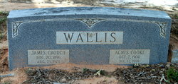 Agnes <I>Cooke</I> Wallis 