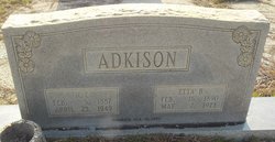 Newton E Adkison 