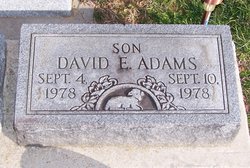 David E. Adams 