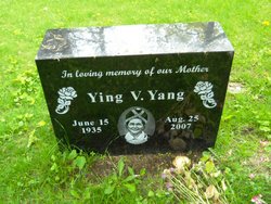Ying Vang Yang 