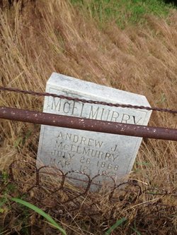 Andrew Jackson McElmurry 