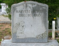 Harvest Roper 
