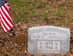 Albert J Burgess 