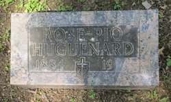 Rose <I>Pio</I> Huguenard 