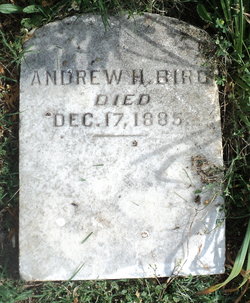 Andrew Hill Bird 