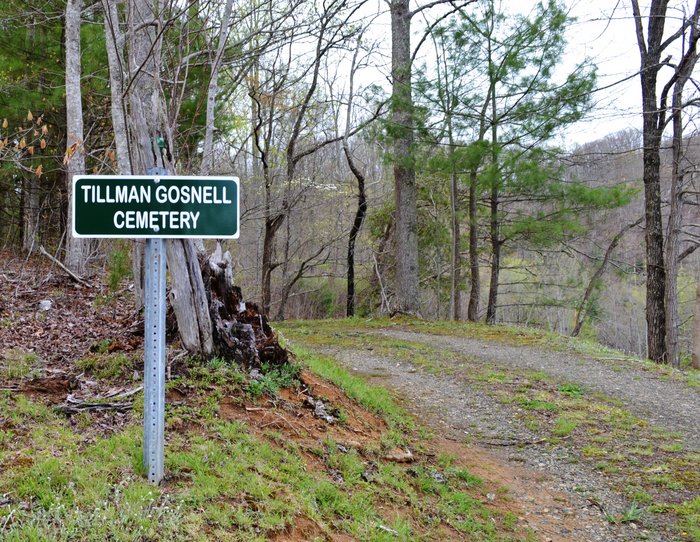 Tillman Gosnell Cemetery