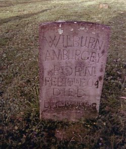 Wilburn Amburgey 