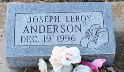 Joseph Leroy Anderson 